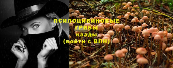 бутират Верея
