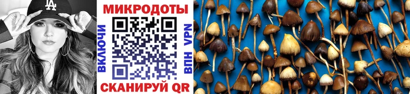 Галлюциногенные грибы мицелий Мелеуз